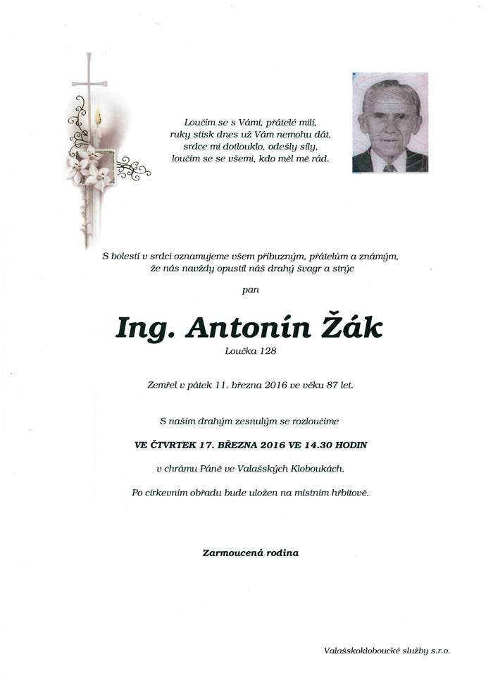 Ing. Antonín Žák