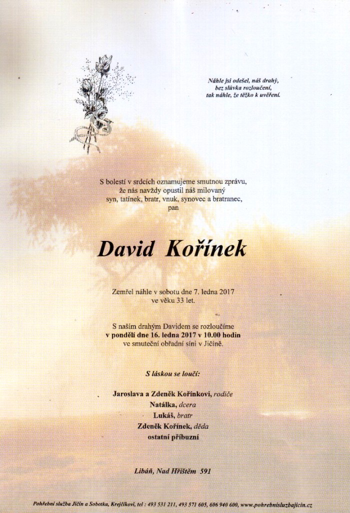 David Kořínek