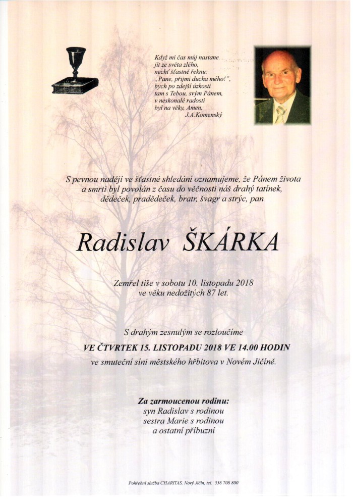 Radislav Škárka