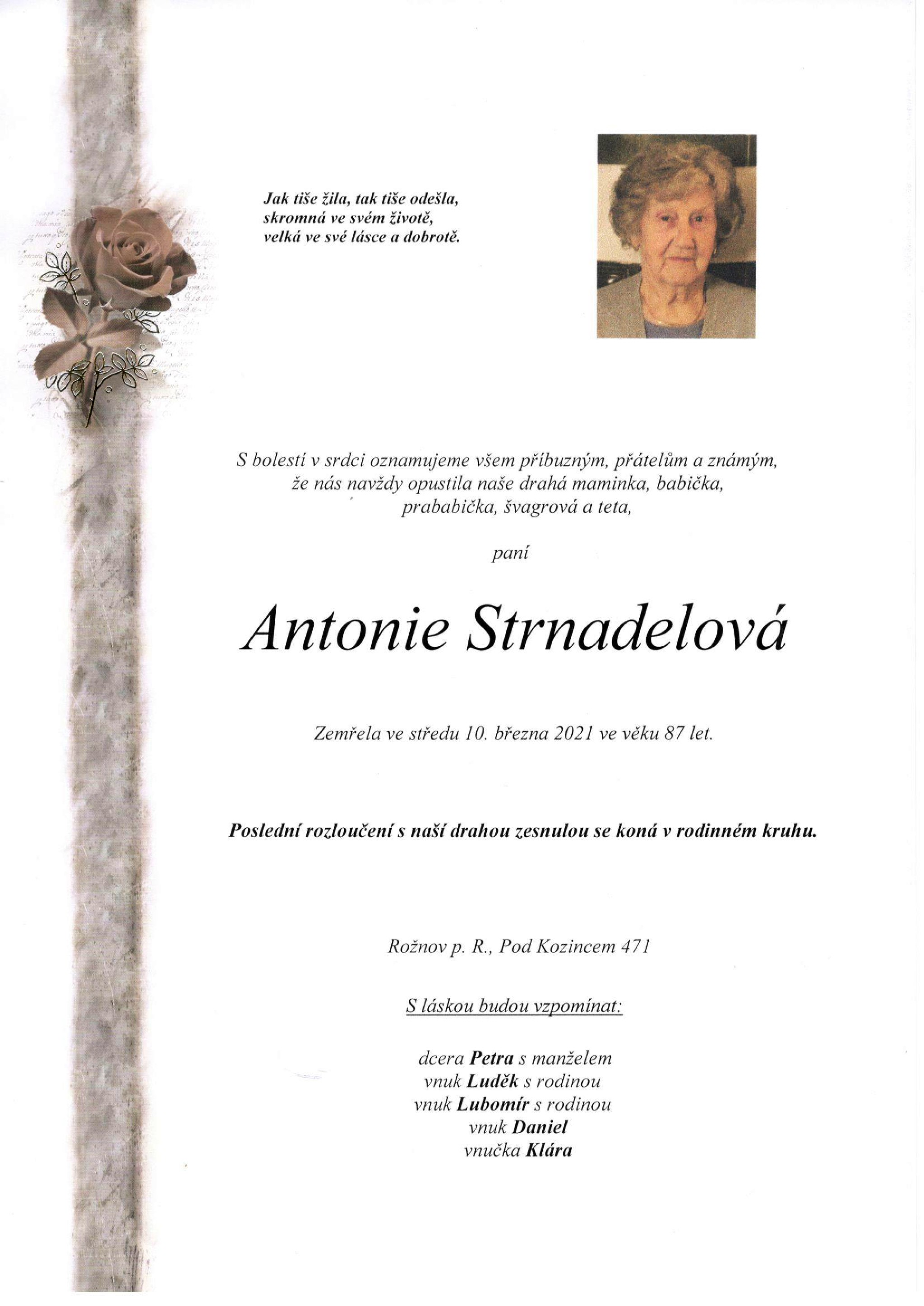 Antonie Strnadelová